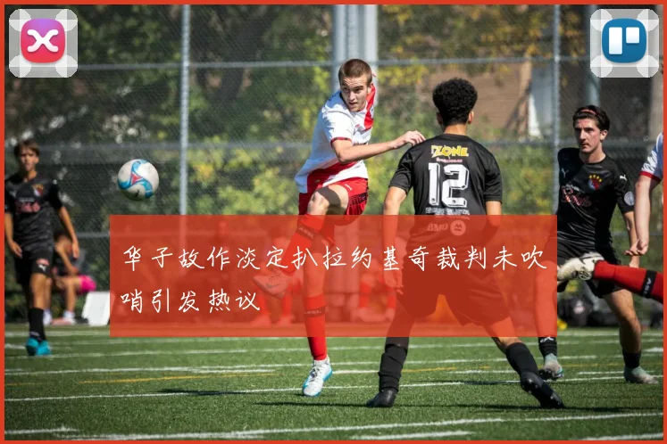 华子故作淡定扒拉约基奇裁判未吹哨引发热议
