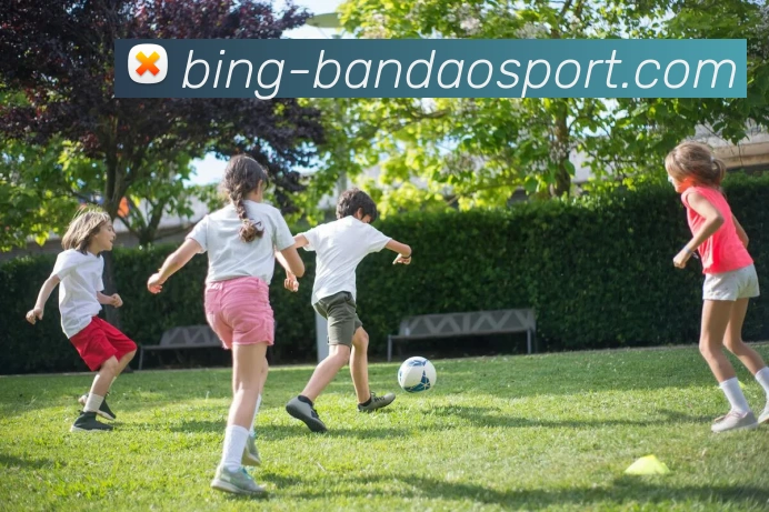 App Interface Preview