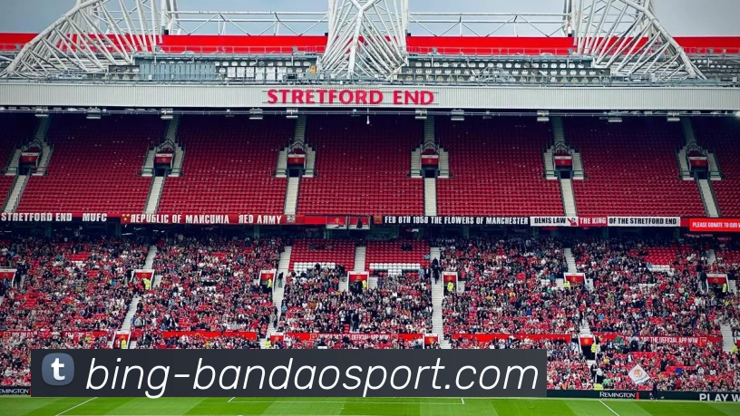 半岛体育APP 封面图