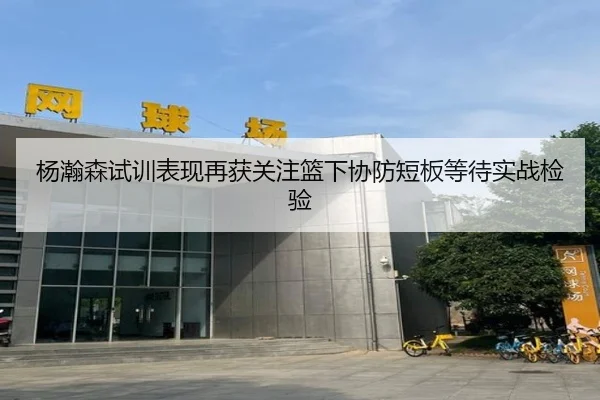 杨瀚森试训表现再获关注篮下协防短板等待实战检验 - bandao